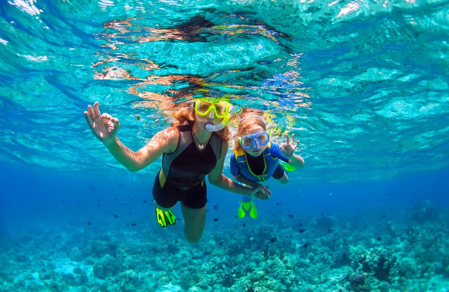  Aventura de Snorkel en Las Islas Giftun o Mahmya